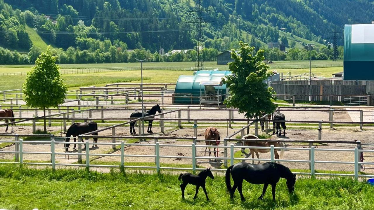 Villa Rosa-Panorama App Haslach Екстериор снимка