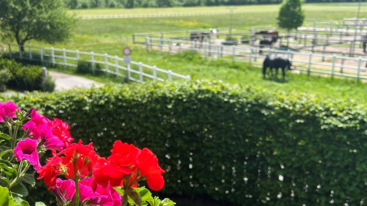 Villa Rosa-Panorama App Haslach Екстериор снимка